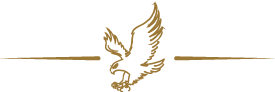 White-Divider.png
